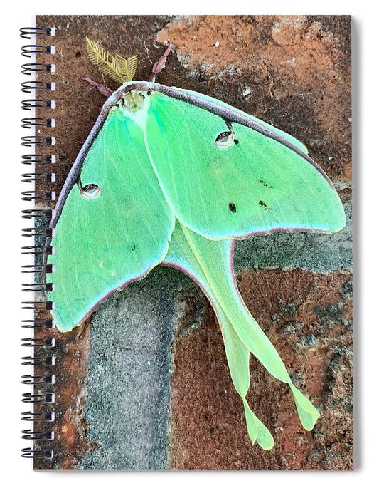 Lunar Moth - Spiral Notebook
