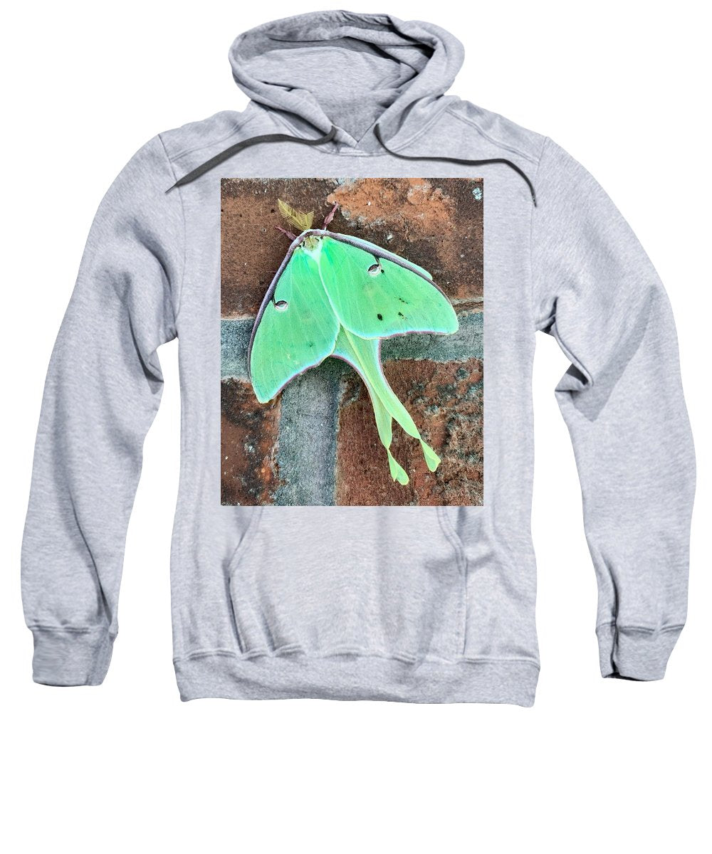 Lunar Moth - Sweatshirt