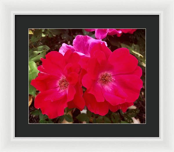 Natural Beauty - Framed Print