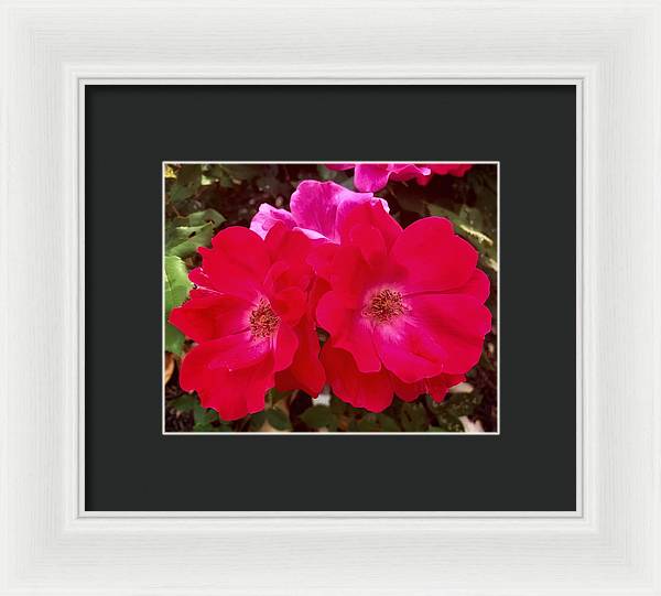 Natural Beauty - Framed Print