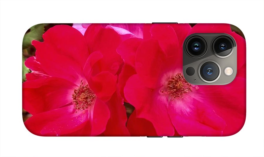 Natural Beauty - Phone Case