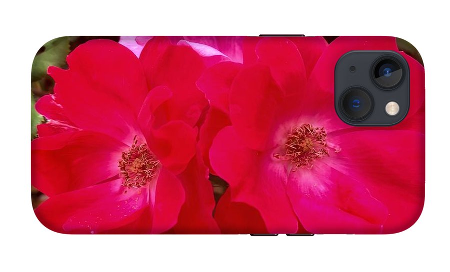 Natural Beauty - Phone Case