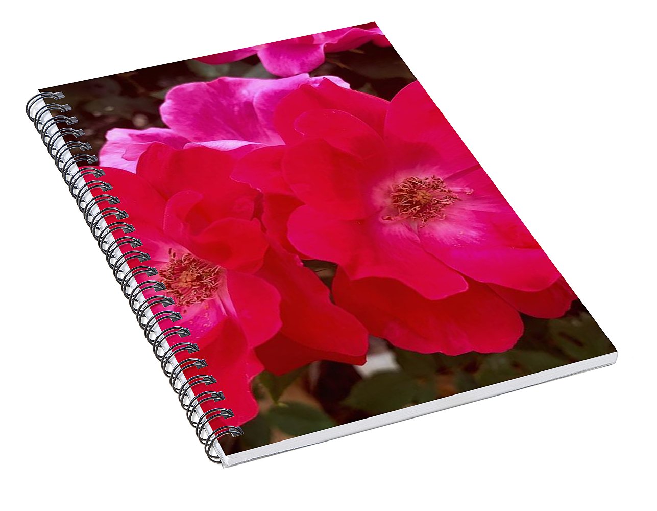 Natural Beauty - Spiral Notebook