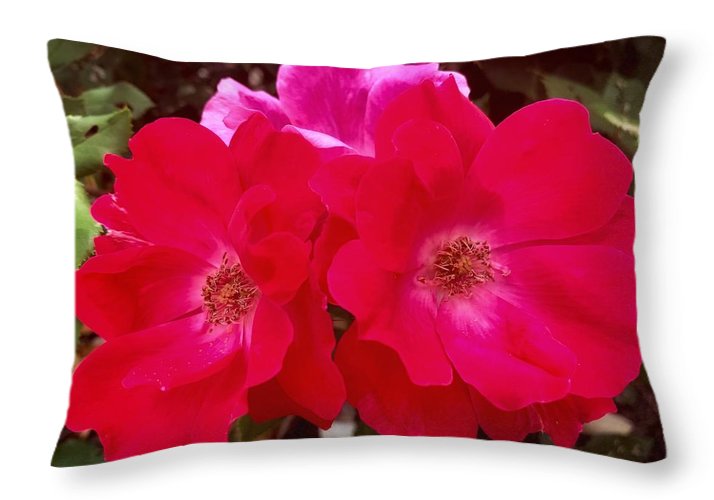 Natural Beauty - Throw Pillow