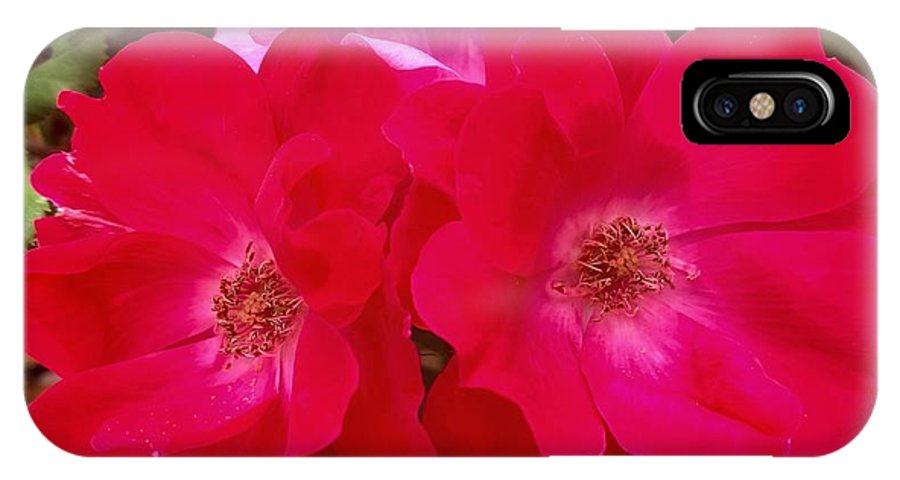 Natural Beauty - Phone Case