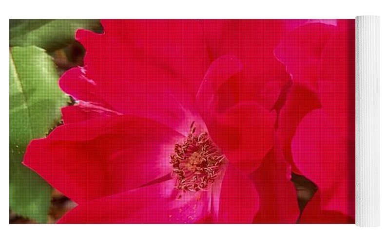 Natural Beauty - Yoga Mat