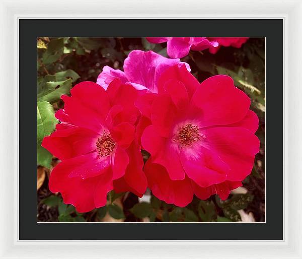 Natural Beauty - Framed Print