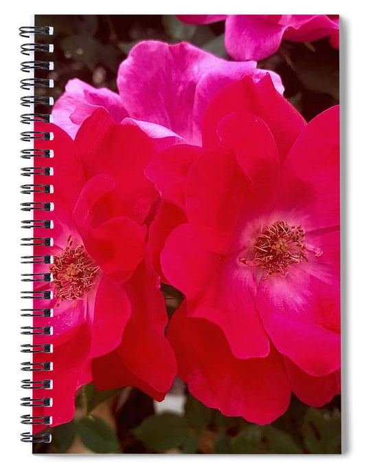 Natural Beauty - Spiral Notebook