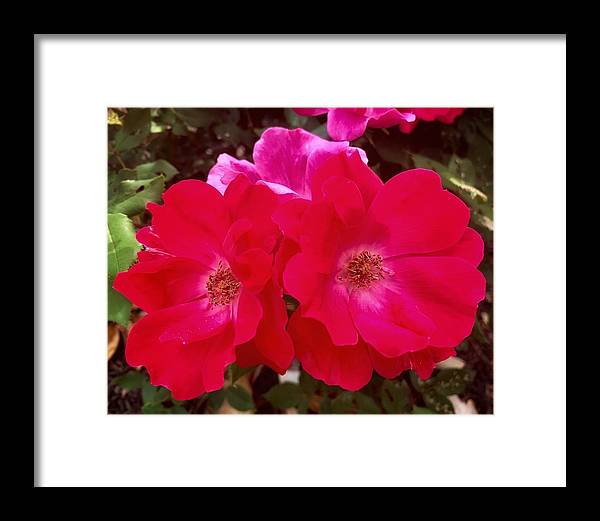 Natural Beauty - Framed Print