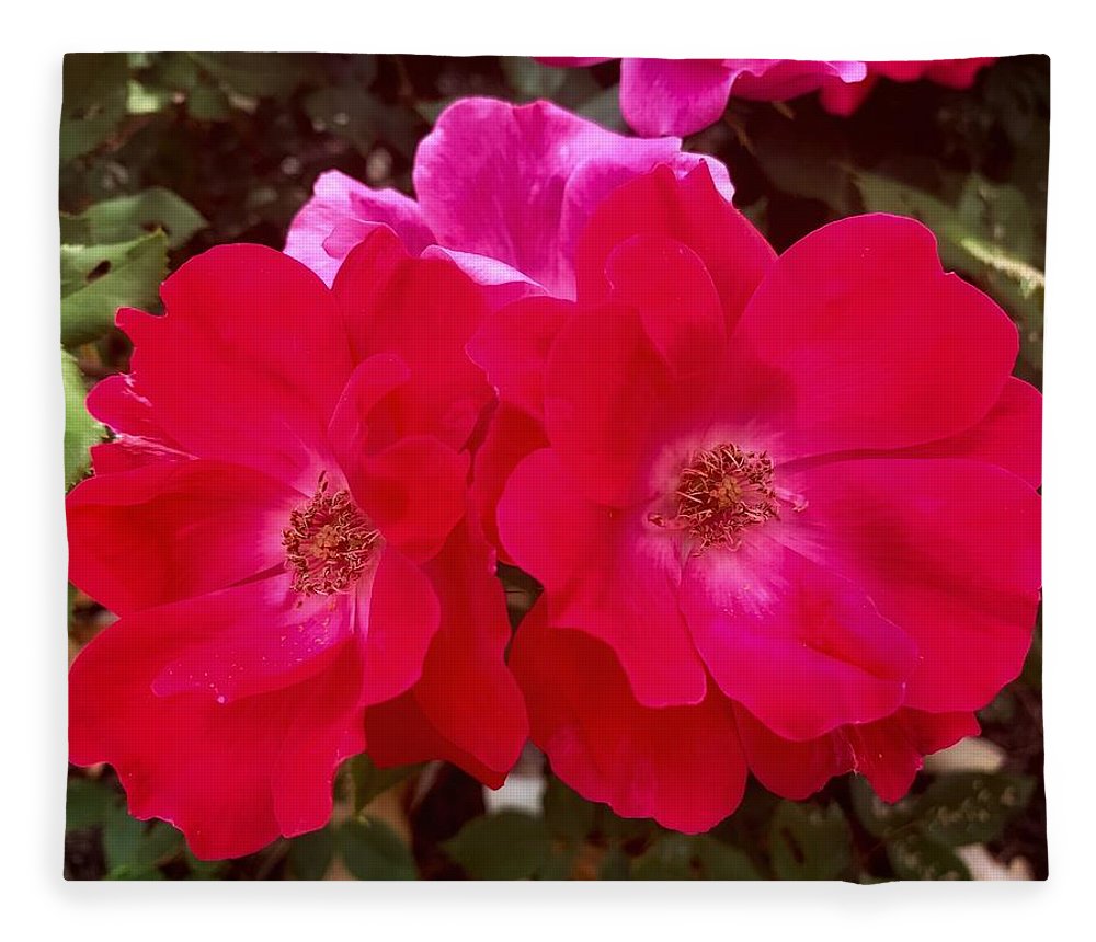 Natural Beauty - Blanket