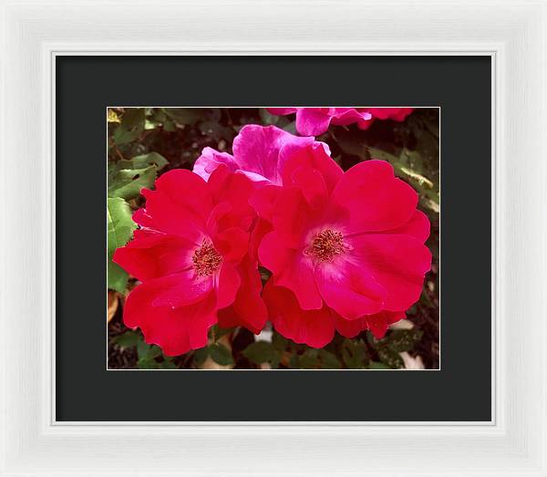 Natural Beauty - Framed Print