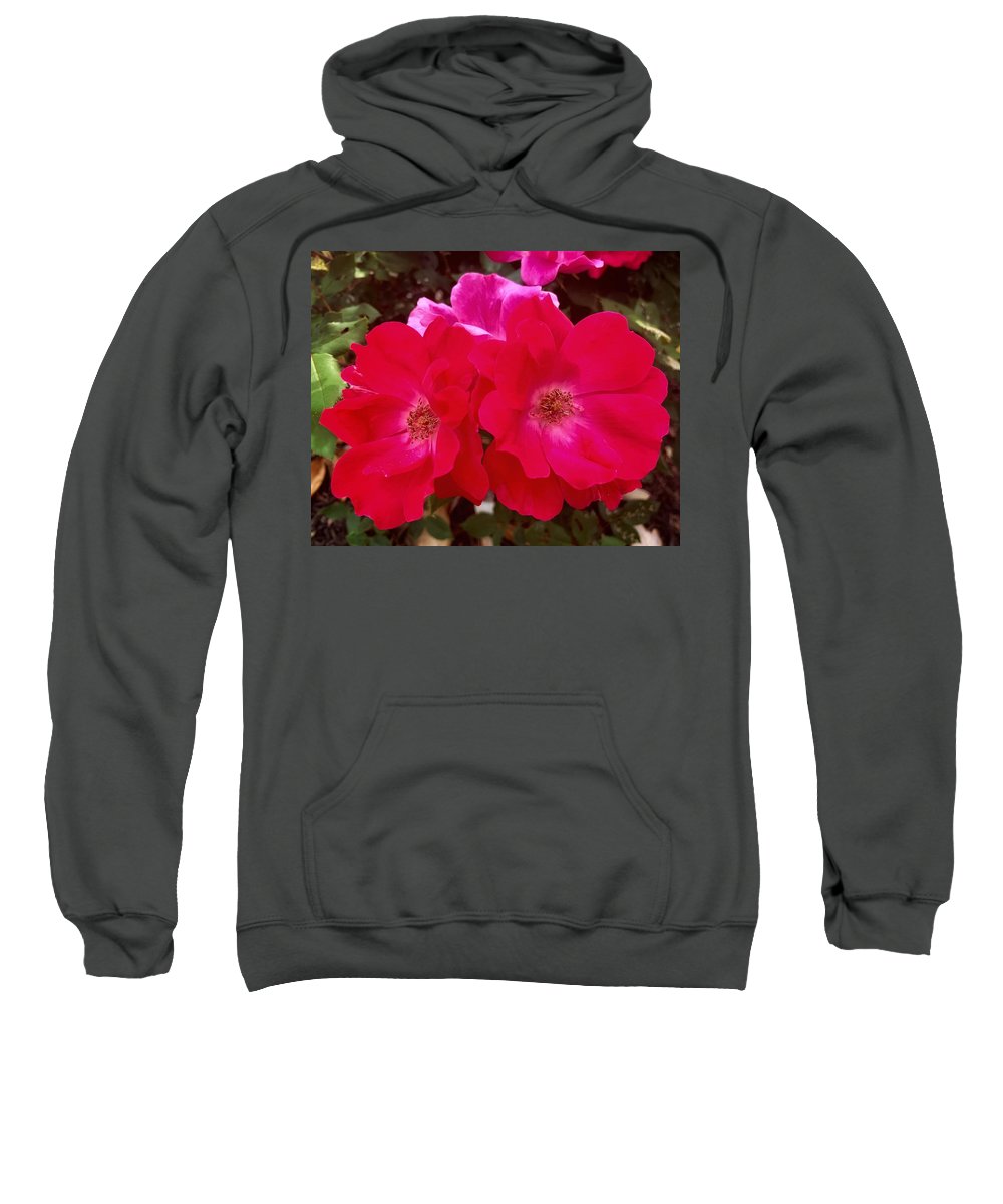 Natural Beauty - Sweatshirt