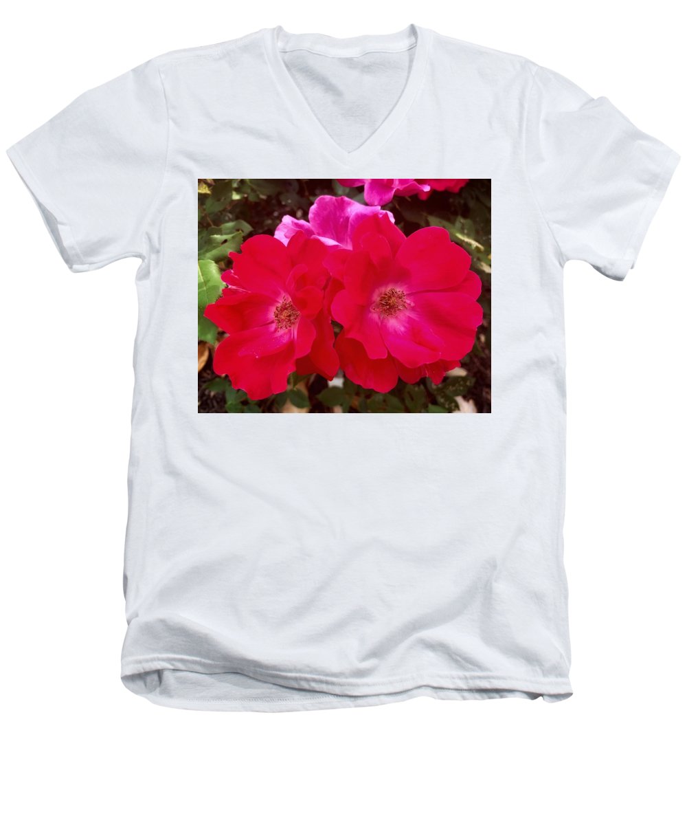 Natural Beauty - Men's V-Neck T-Shirt