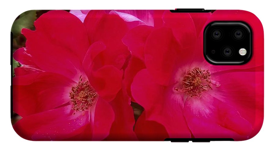 Natural Beauty - Phone Case