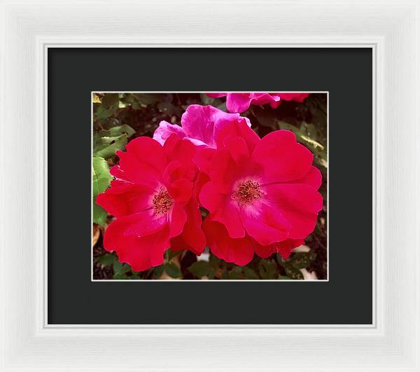 Natural Beauty - Framed Print