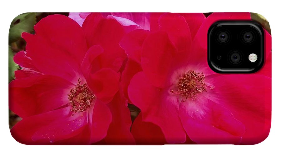 Natural Beauty - Phone Case