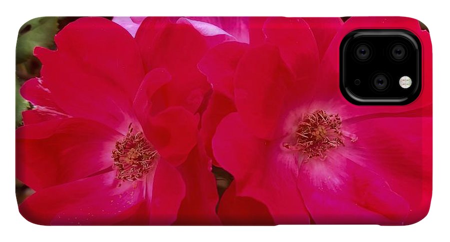 Natural Beauty - Phone Case