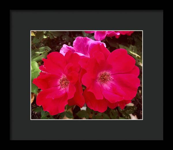 Natural Beauty - Framed Print