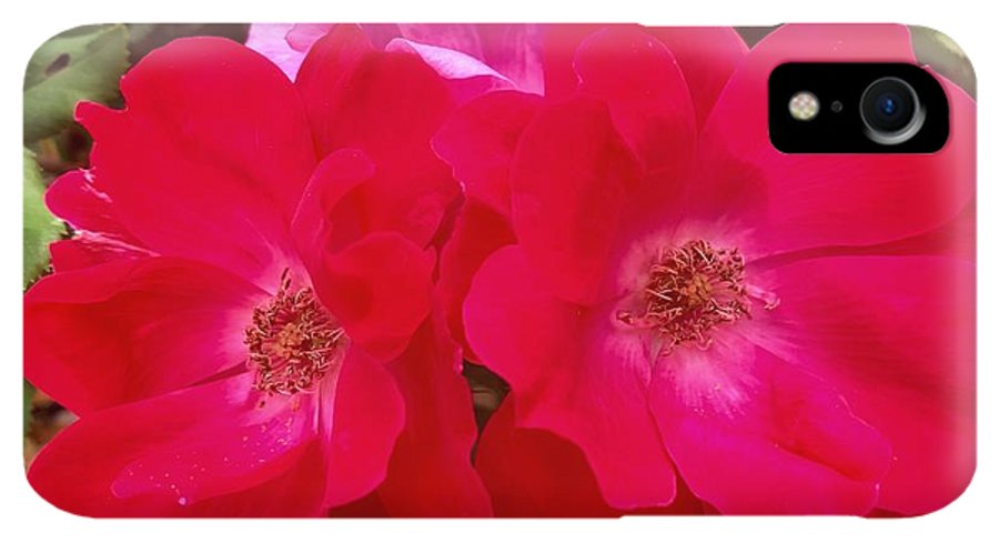 Natural Beauty - Phone Case