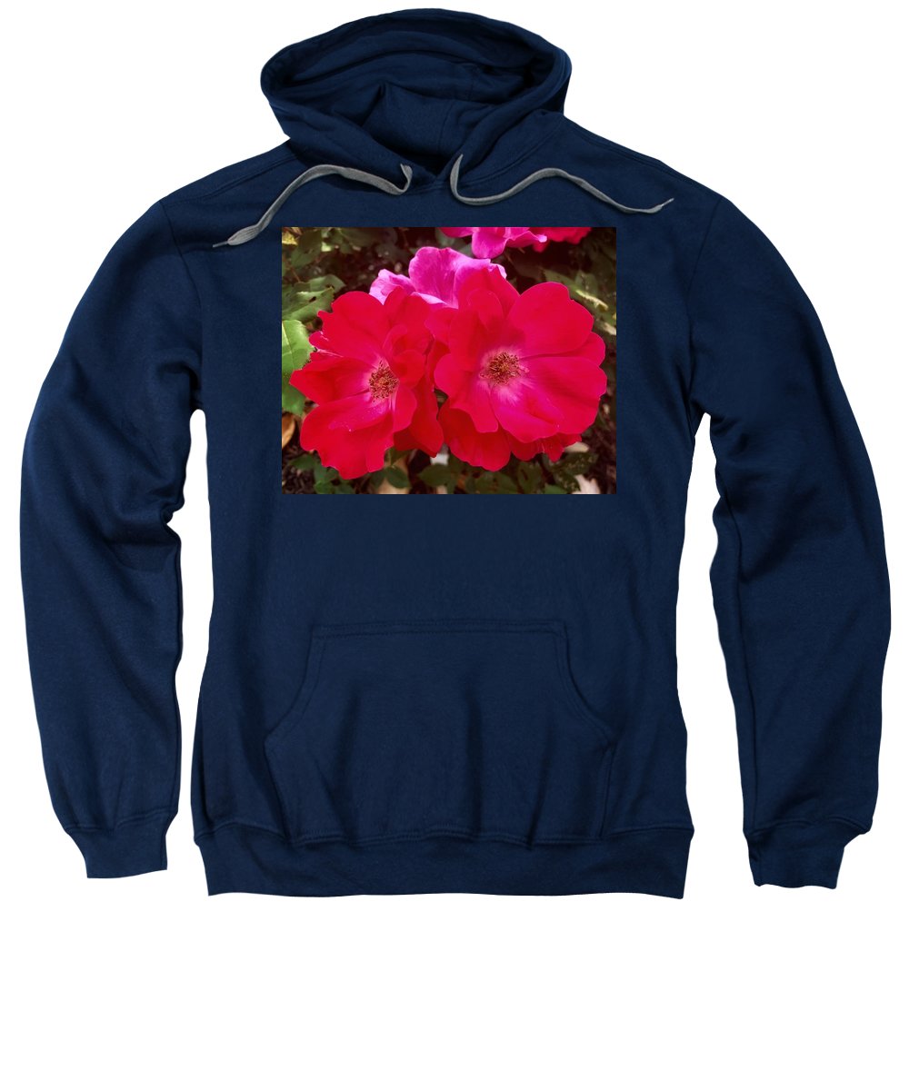 Natural Beauty - Sweatshirt