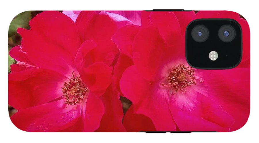 Natural Beauty - Phone Case