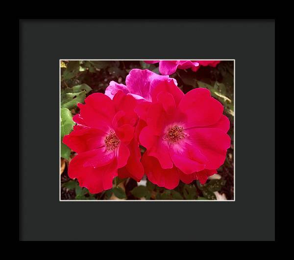 Natural Beauty - Framed Print