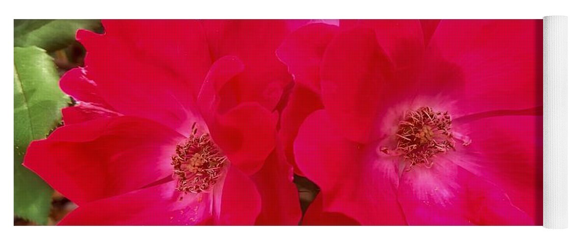 Natural Beauty - Yoga Mat