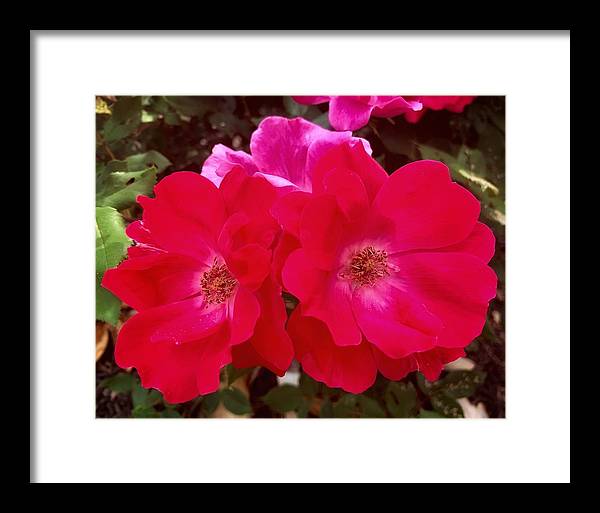 Natural Beauty - Framed Print