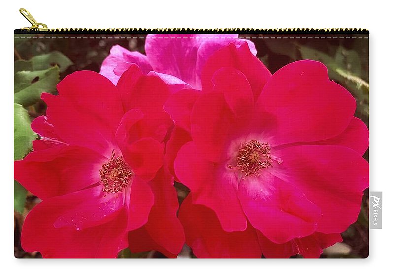 Natural Beauty - Carry-All Pouch