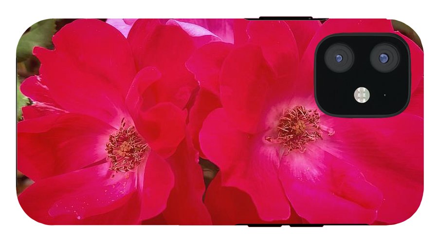 Natural Beauty - Phone Case