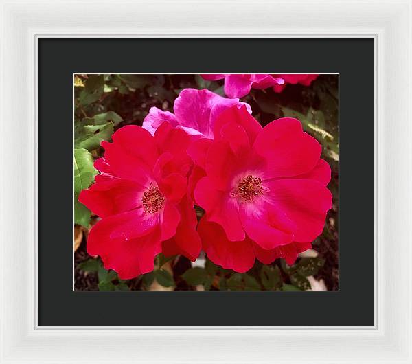 Natural Beauty - Framed Print