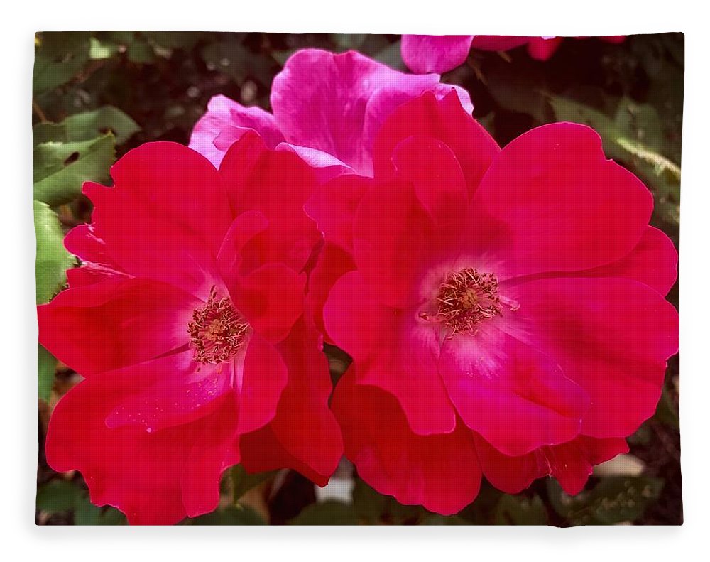 Natural Beauty - Blanket