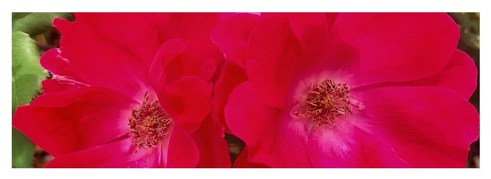 Natural Beauty - Yoga Mat