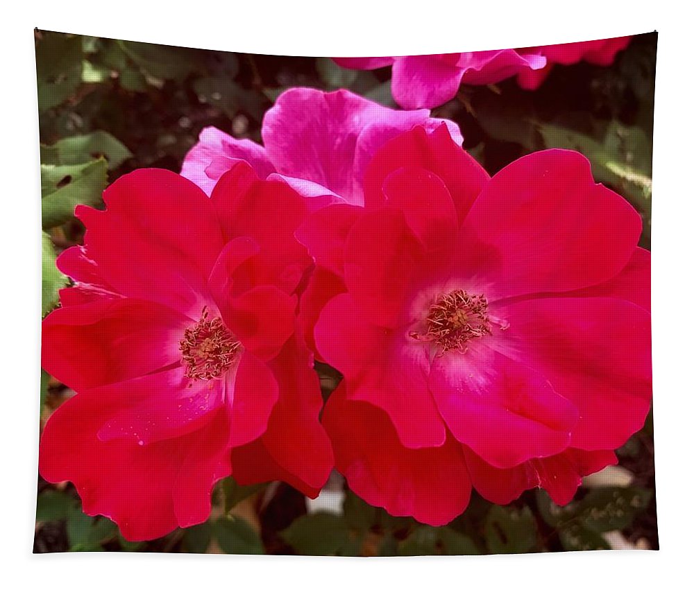 Natural Beauty - Tapestry