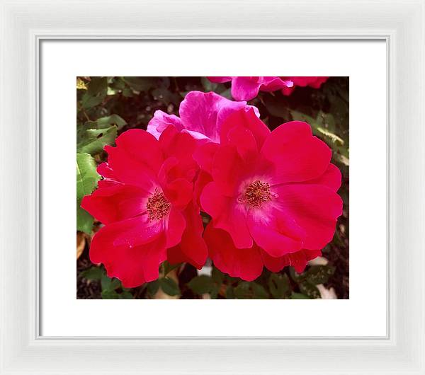 Natural Beauty - Framed Print