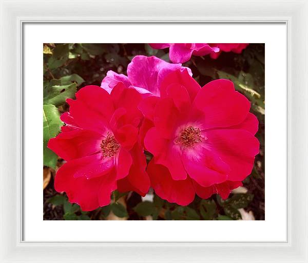 Natural Beauty - Framed Print