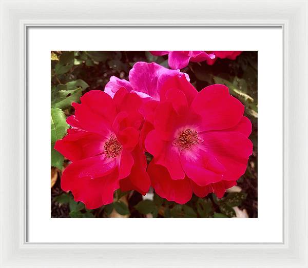 Natural Beauty - Framed Print