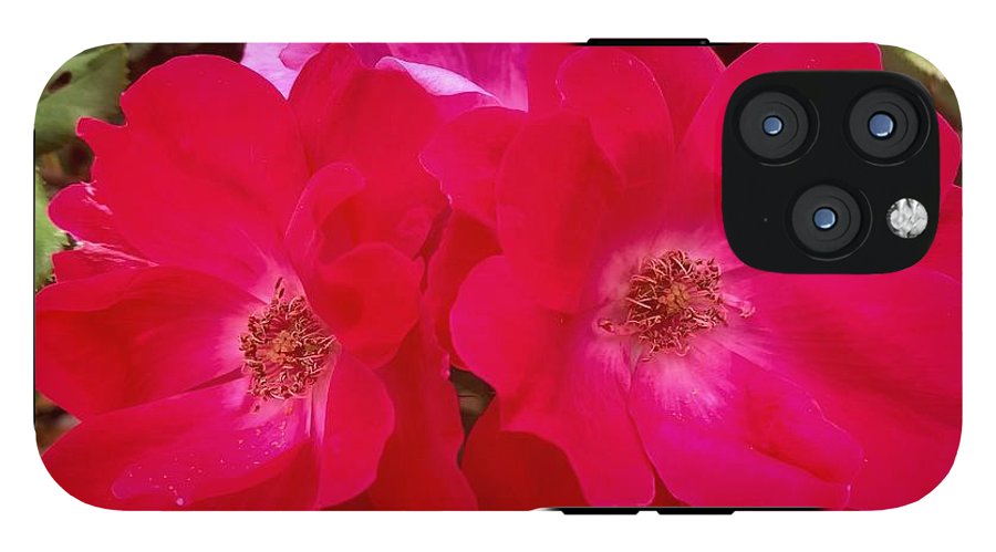 Natural Beauty - Phone Case