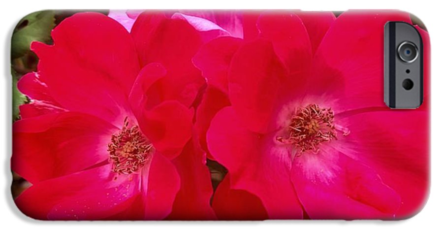 Natural Beauty - Phone Case