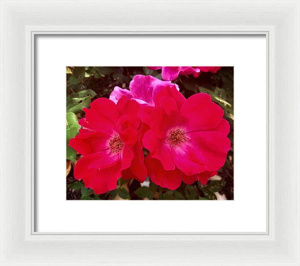 Natural Beauty - Framed Print