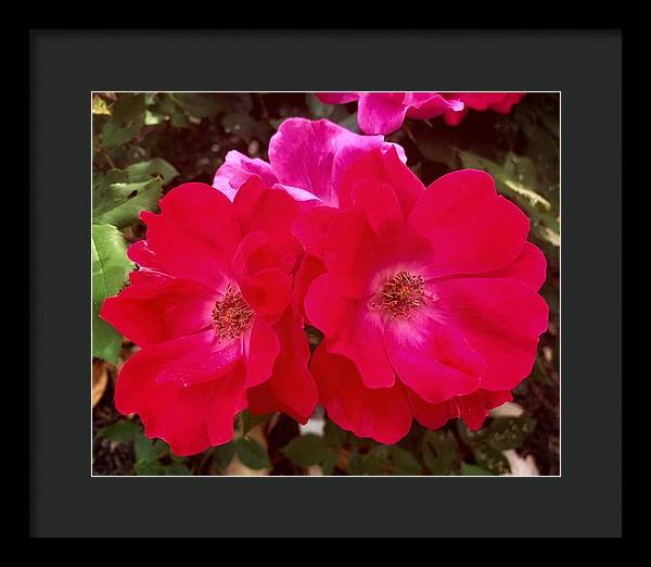 Natural Beauty - Framed Print