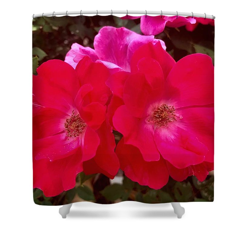 Natural Beauty - Shower Curtain