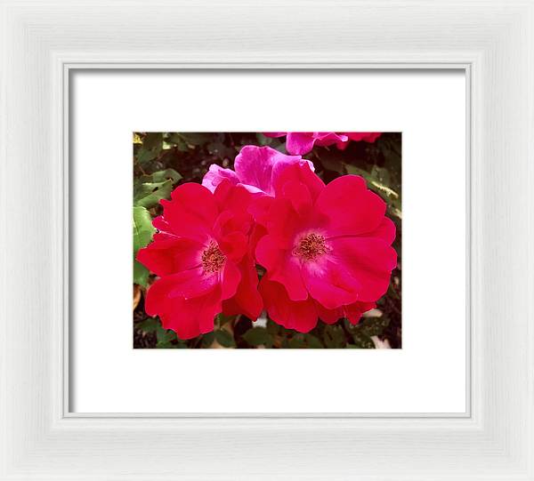 Natural Beauty - Framed Print