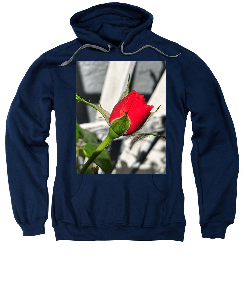 New Life - Sweatshirt