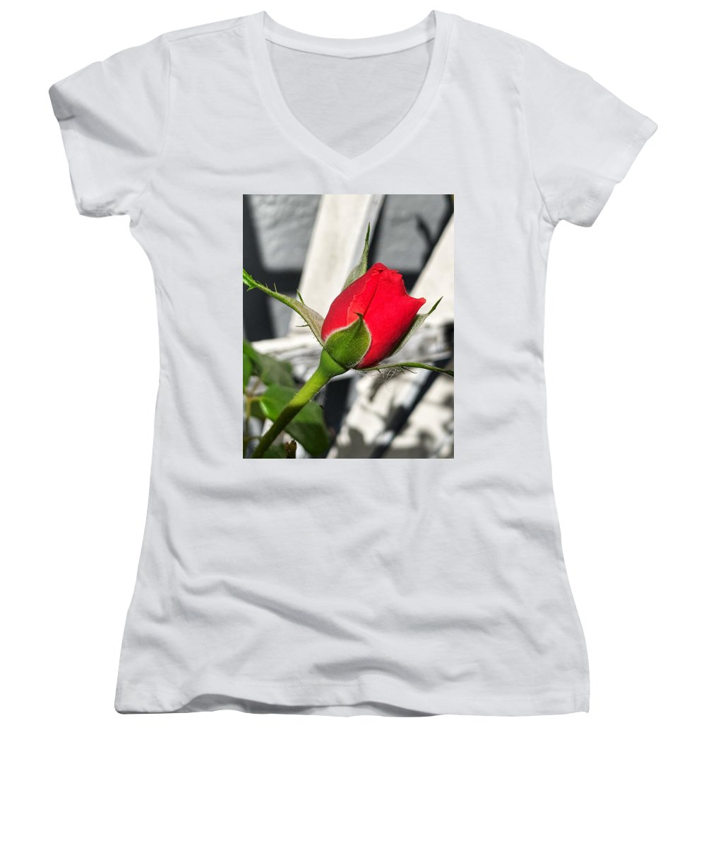 New Life - Women's V-Neck