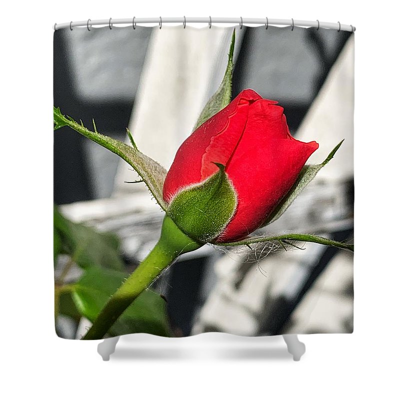 New Life - Shower Curtain