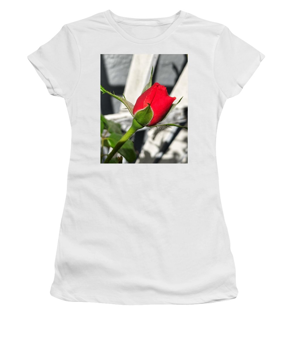 New Life - Women's T-Shirt