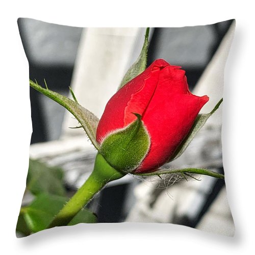 New Life - Throw Pillow