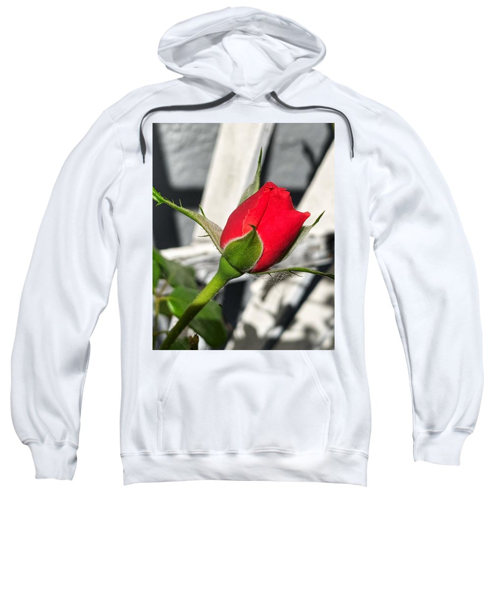 New Life - Sweatshirt