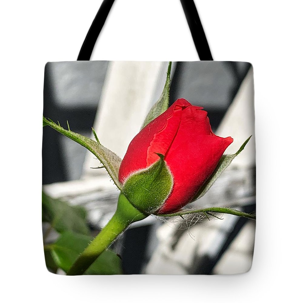 New Life - Tote Bag